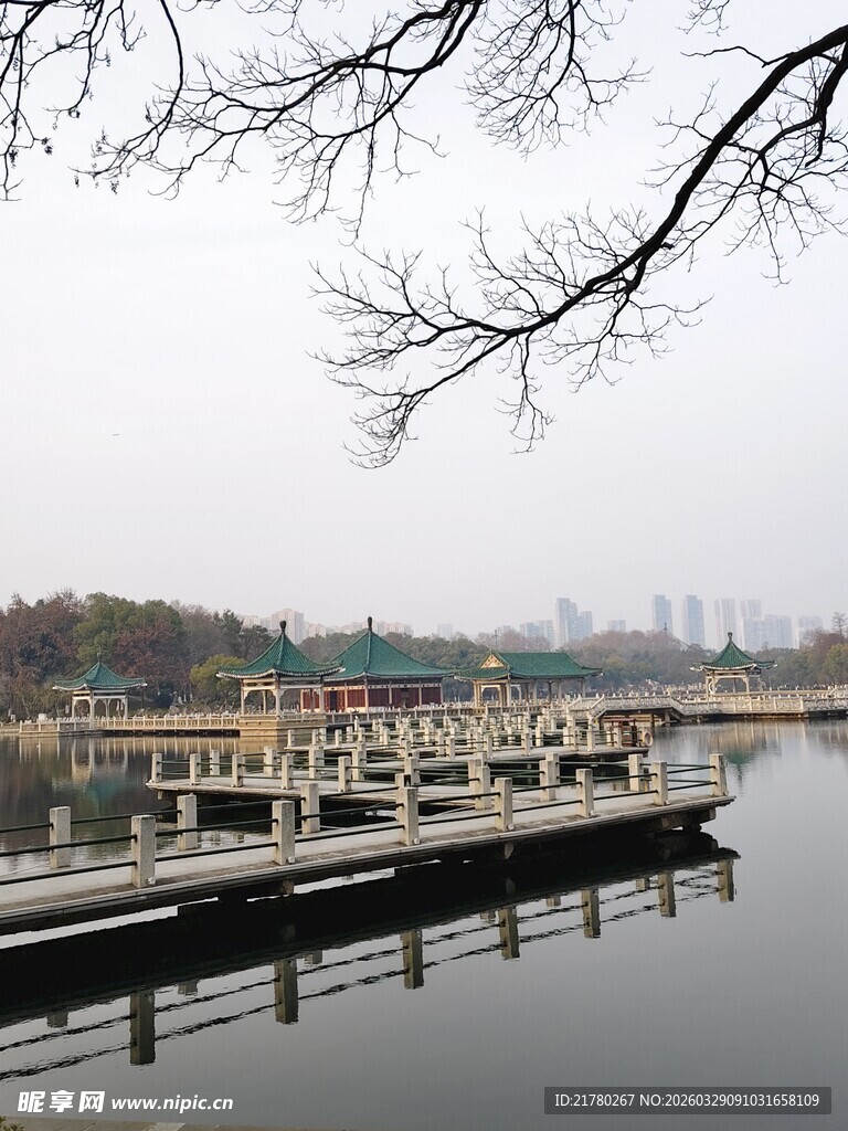 湖畔风景