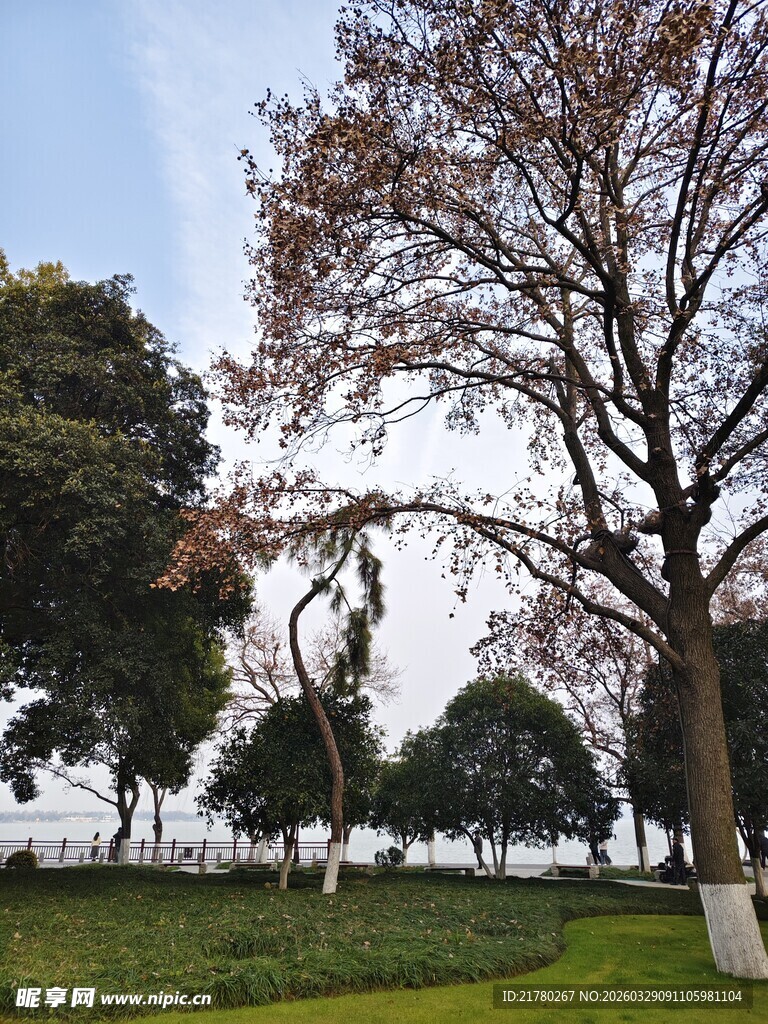 公园春日景