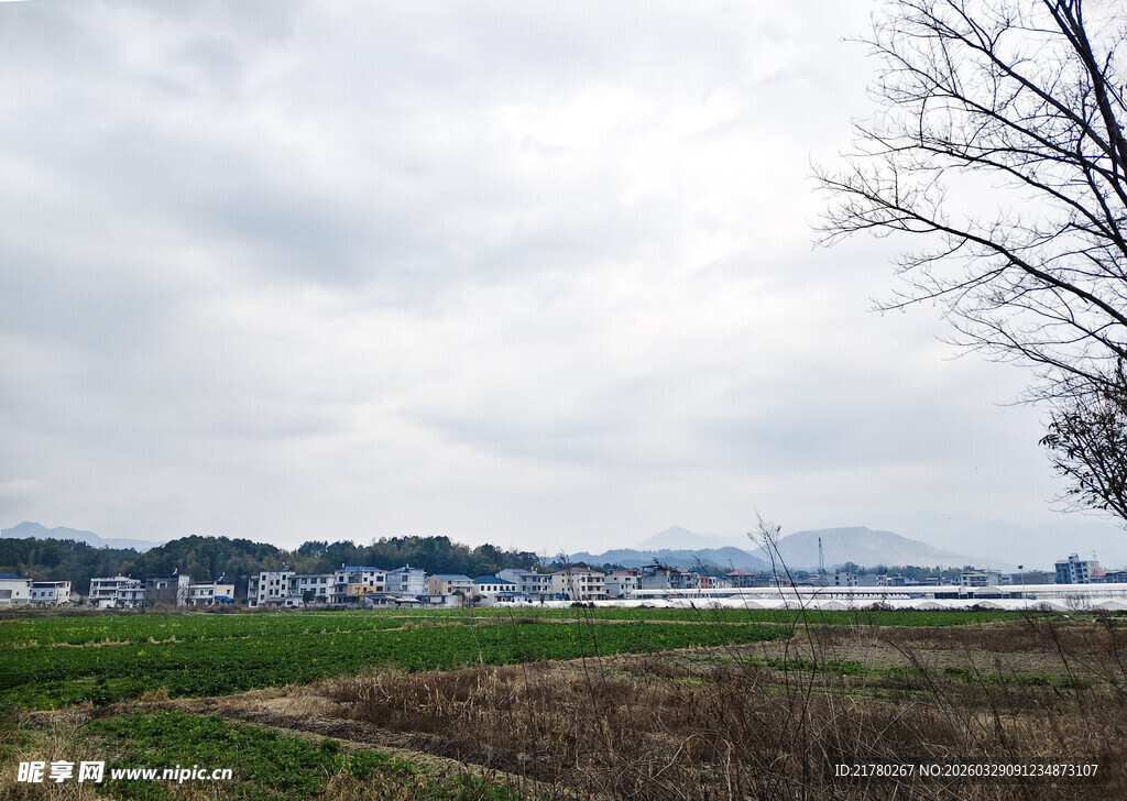 郊外旷野风景