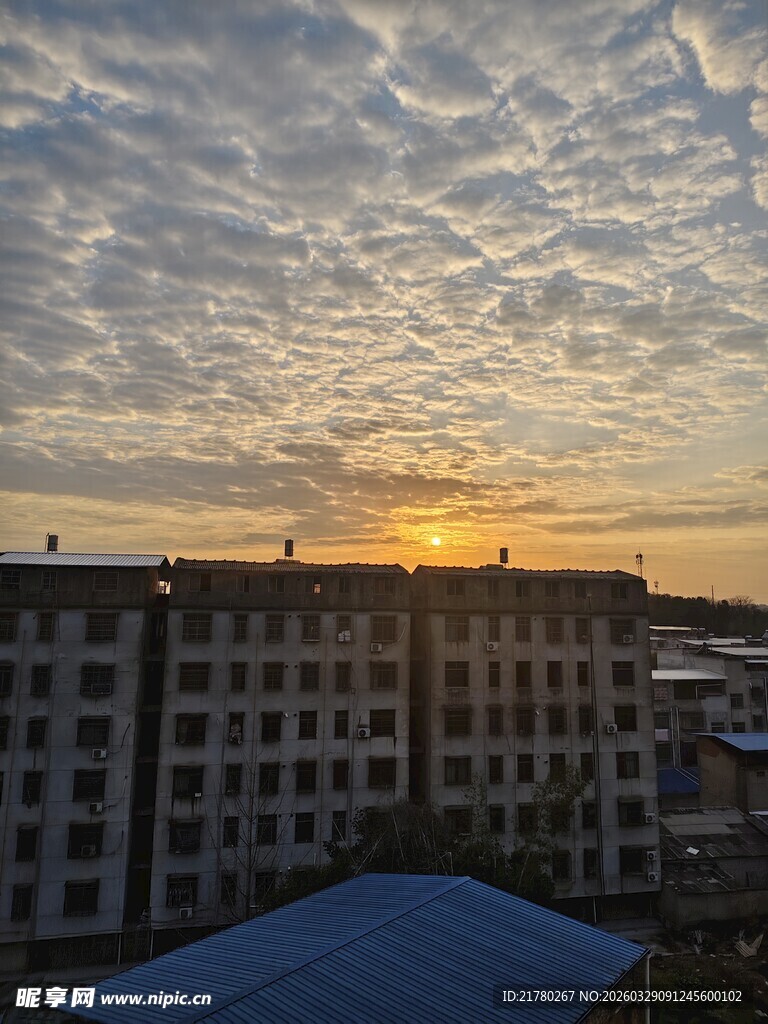 夕阳下的城市建筑群