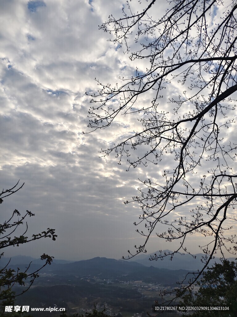 山间云景 枝桠点缀天空