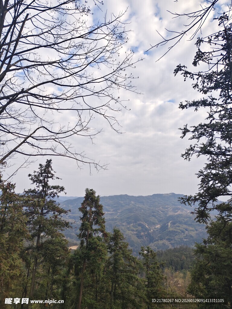 山林间的开阔景致