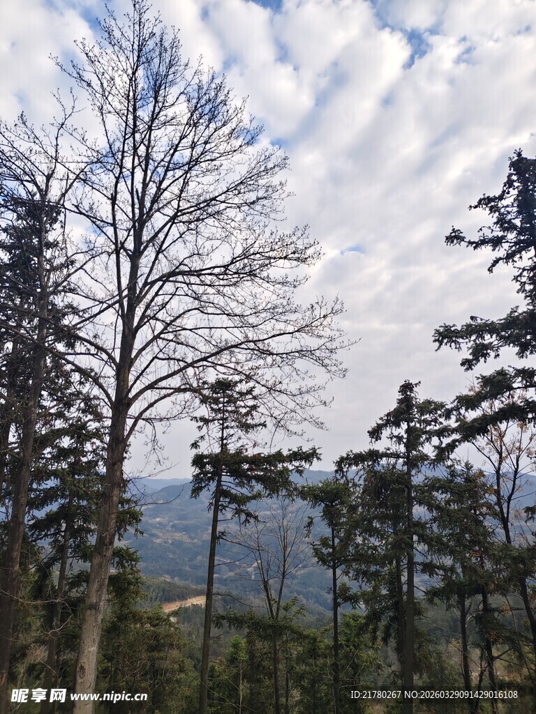 山林冬日景象