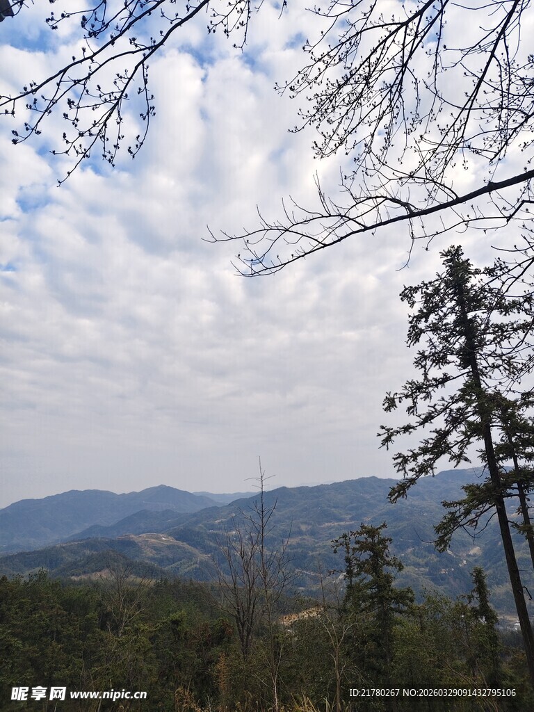 山林云端景致