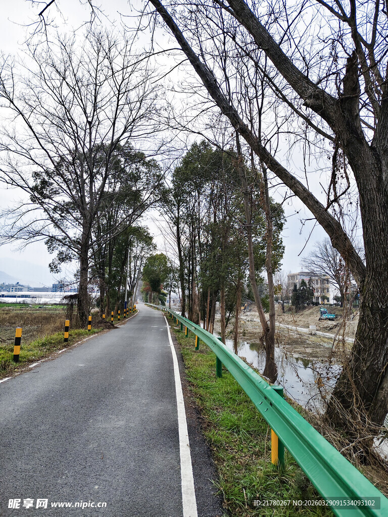 乡间公路旁的树木与护栏