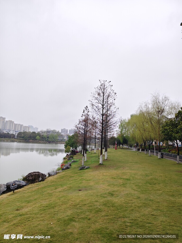 湖畔草地风景