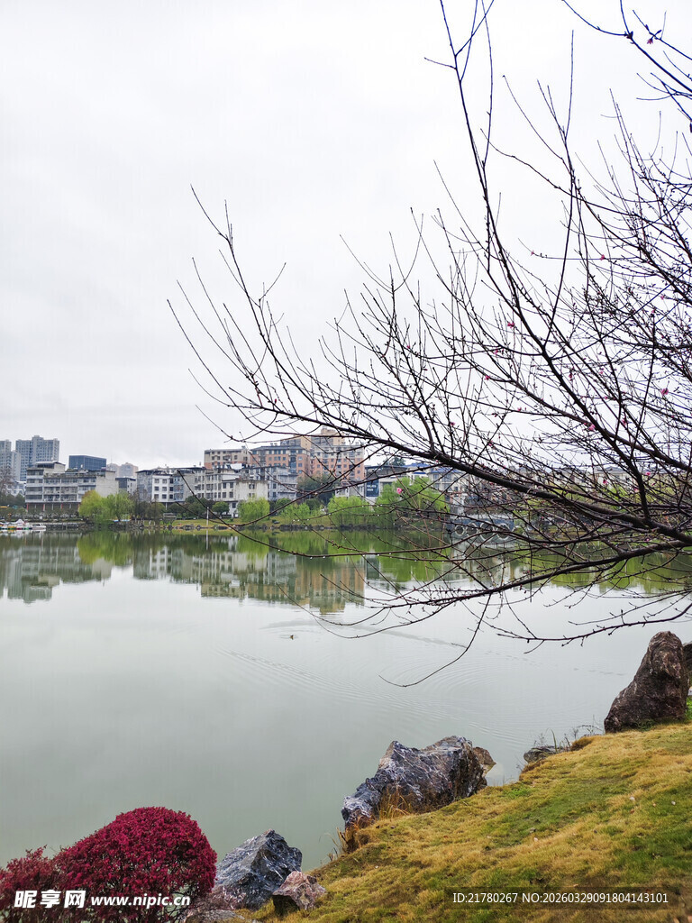 湖畔风光 宁静春日景致