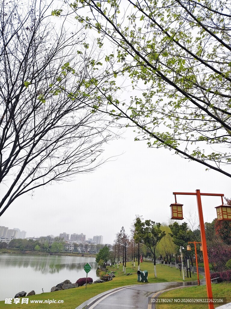 湖畔林荫小道春日景致