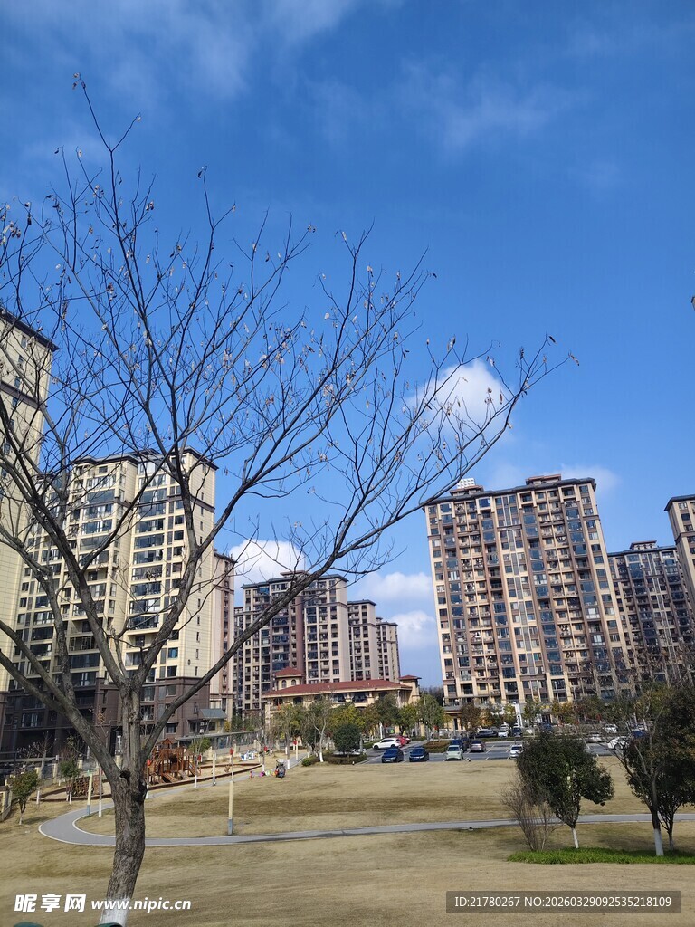 城市住宅区风景