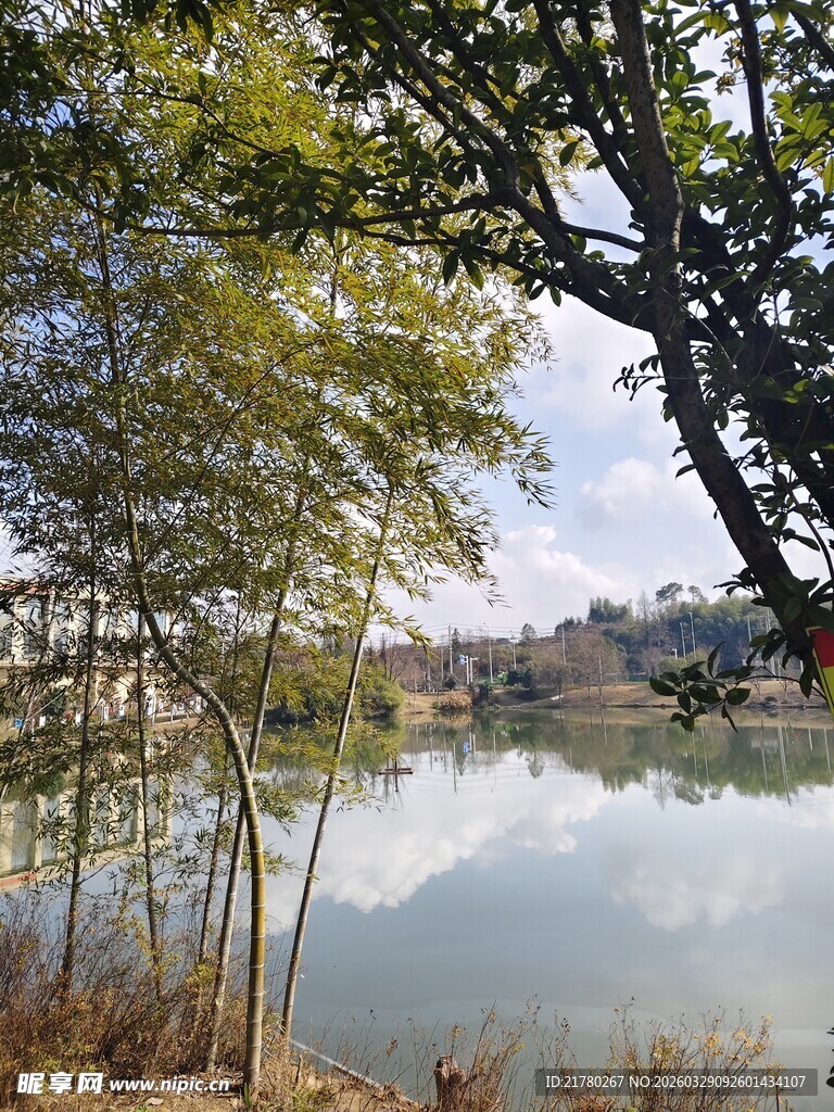 湖畔绿树环绕