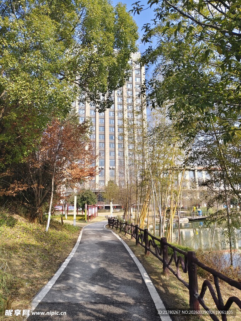 城市林间步道