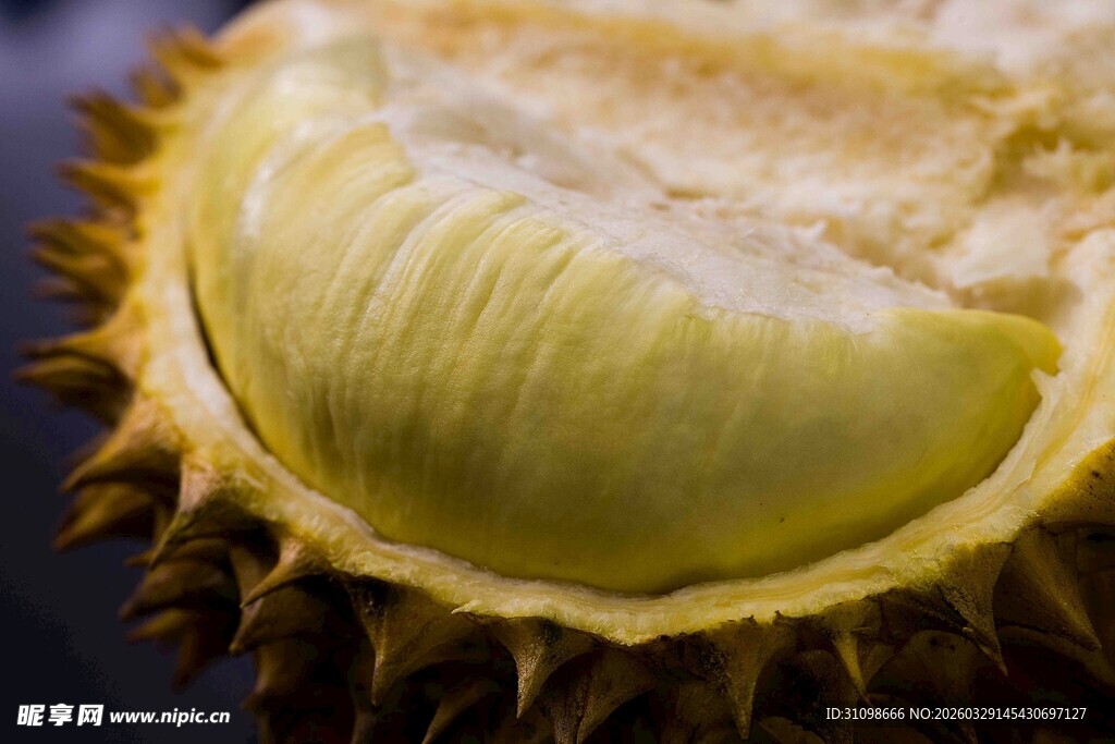 切开的鲜榴莲果肉