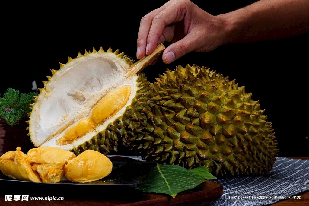 剥开的榴莲果肉诱人时刻