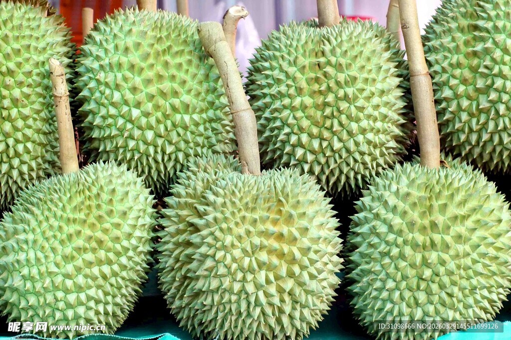 新鲜饱满的榴莲堆叠