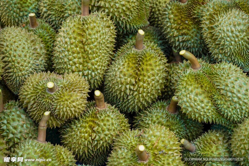 一堆新鲜的榴莲