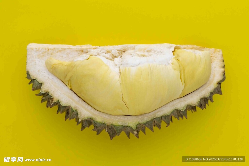 黄色背景下的新鲜榴莲果肉