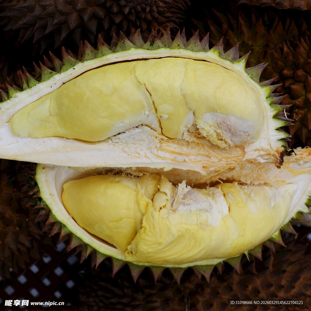 剥开的香甜榴莲果肉