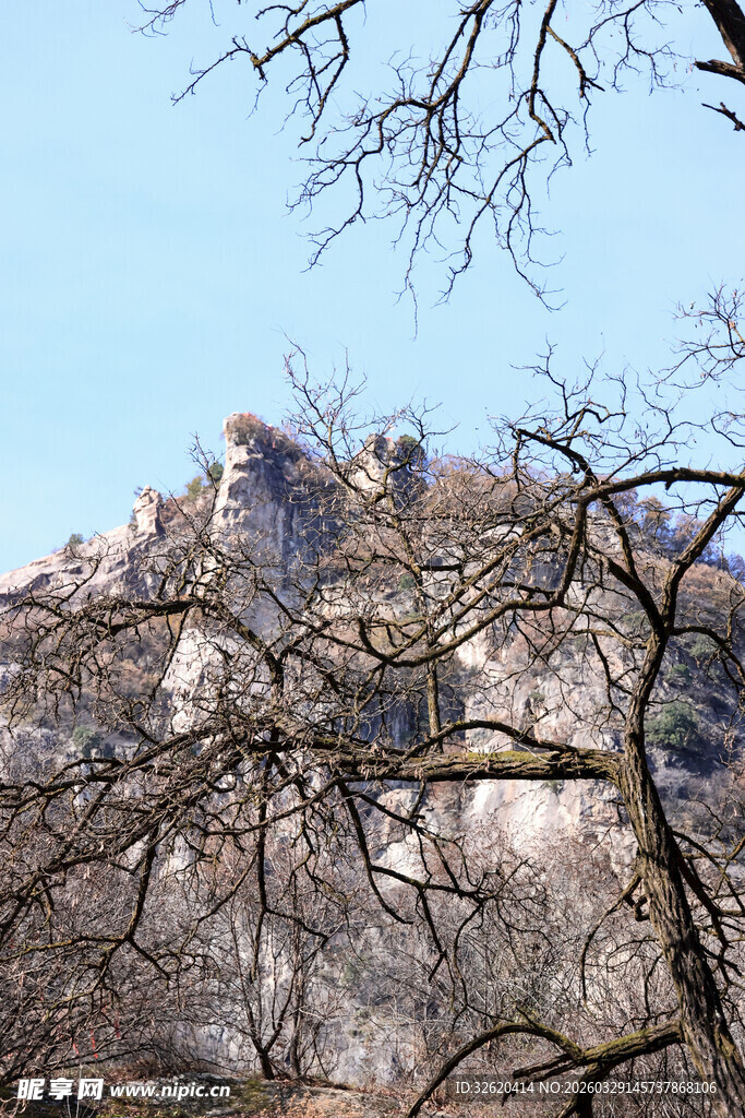 山巅城堡与枯树枝景