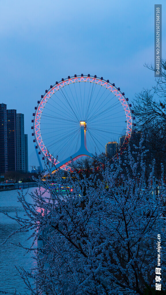 天津之眼夜幕下的摩天轮与樱花
