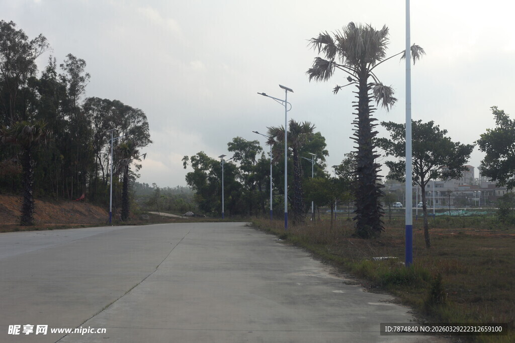 湛江乡村宽阔道路与林立树木