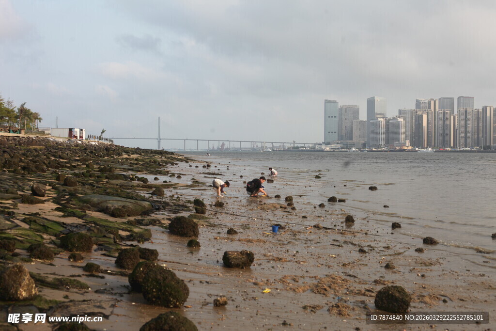 湛江海滨礁石旁的城市风光