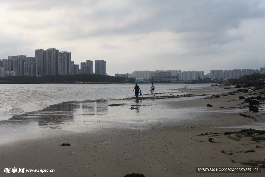 湛江海边漫步的静谧时刻
