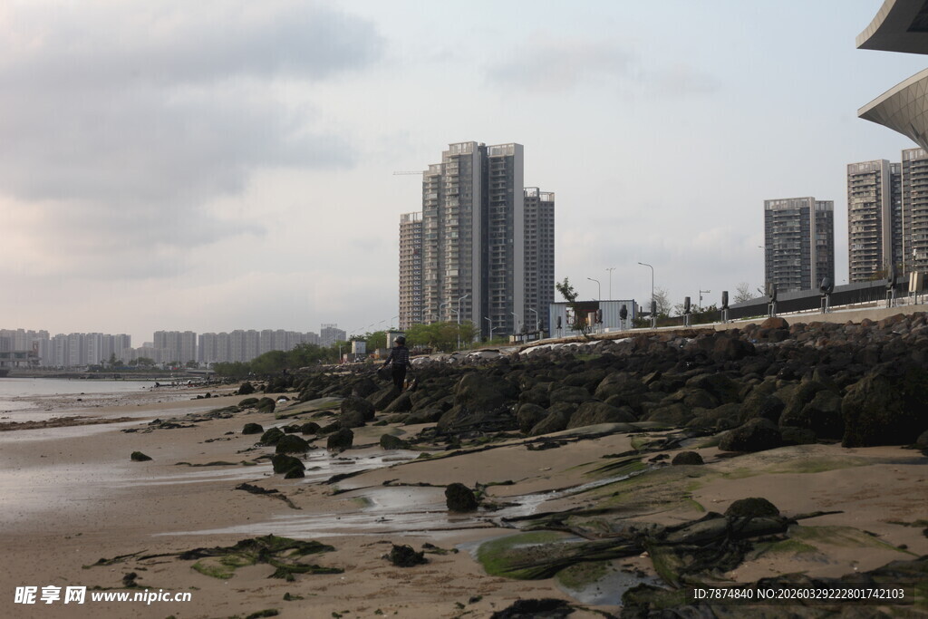湛江城市江边滩涂与高楼景观