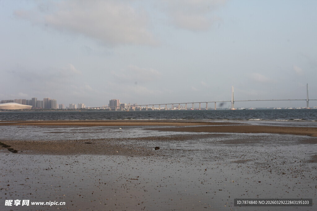湛江海边滩涂风景