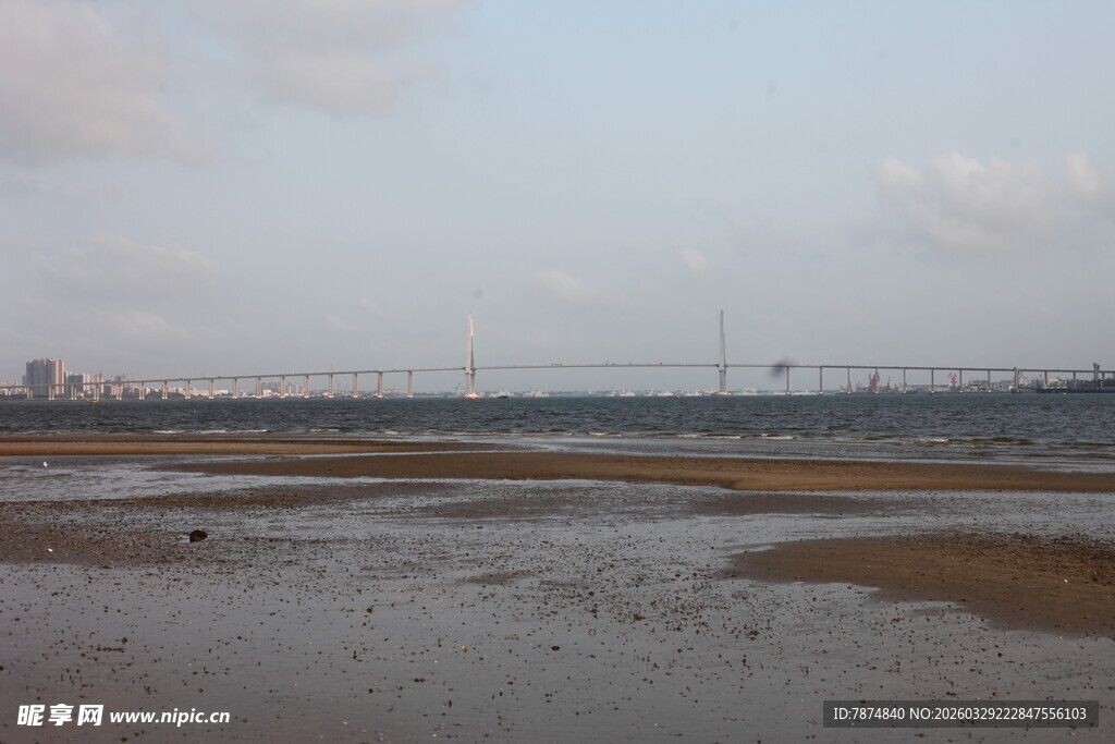 湛江海边滩涂景观