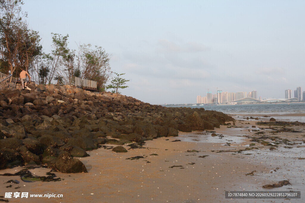 湛江海岸边的礁石与稀疏树木