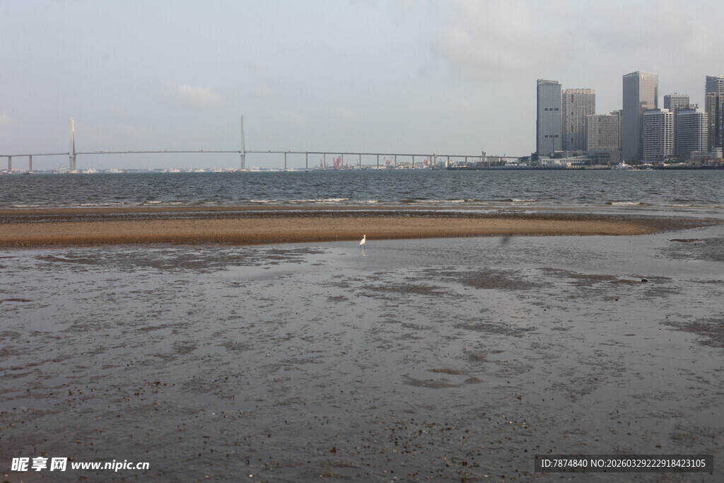 湛江城市边的滩涂景观