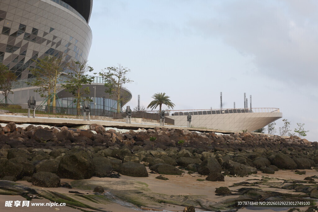 湛江海边停泊的船只与建筑