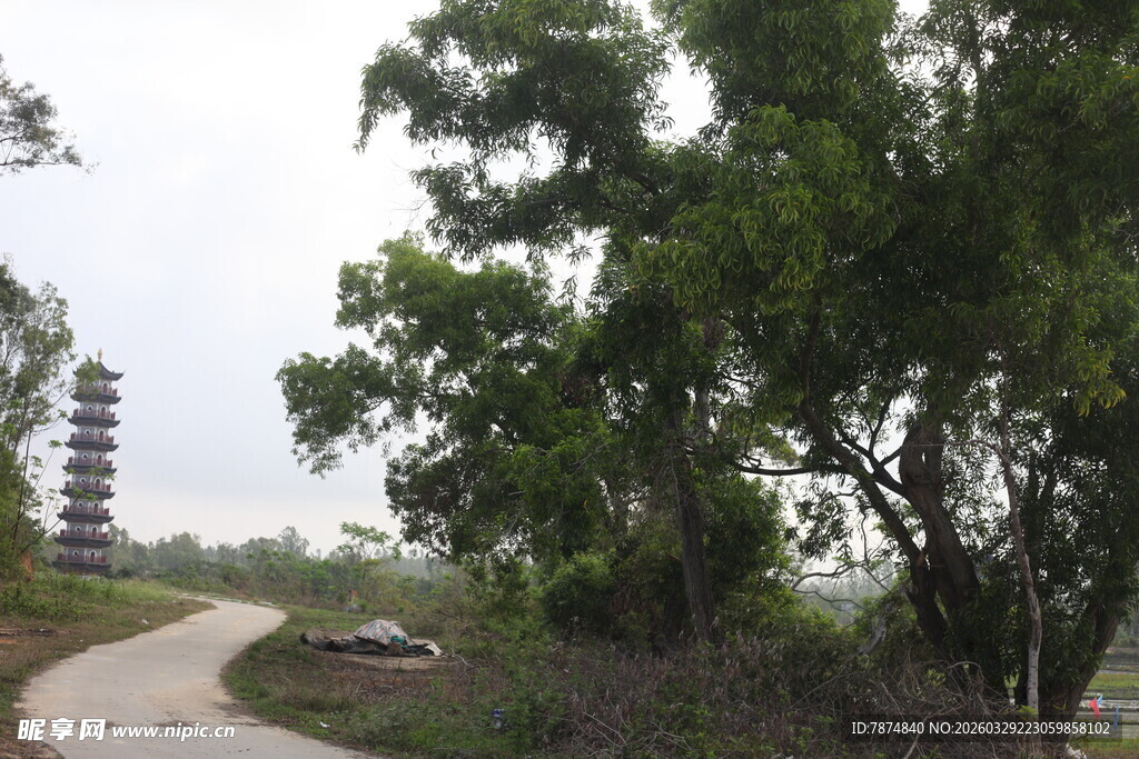湛江乡间小路旁的古塔与绿树