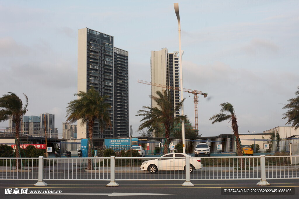湛江城市街景中的高楼与棕榈树