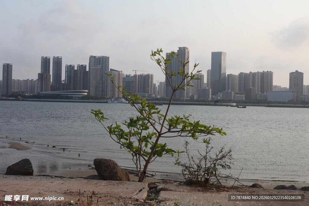 湛江城市水岸旁的绿意景观