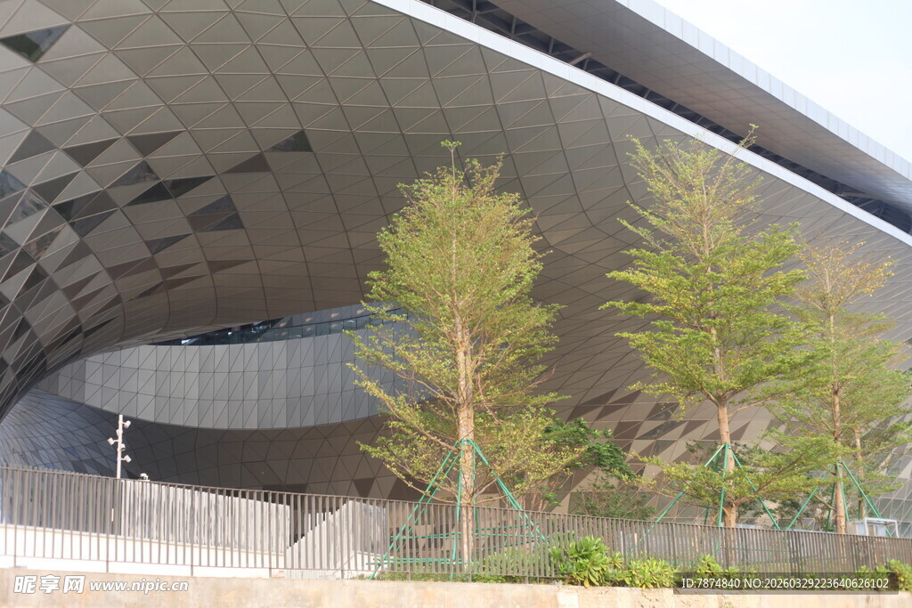 湛江现代建筑旁的翠绿树木