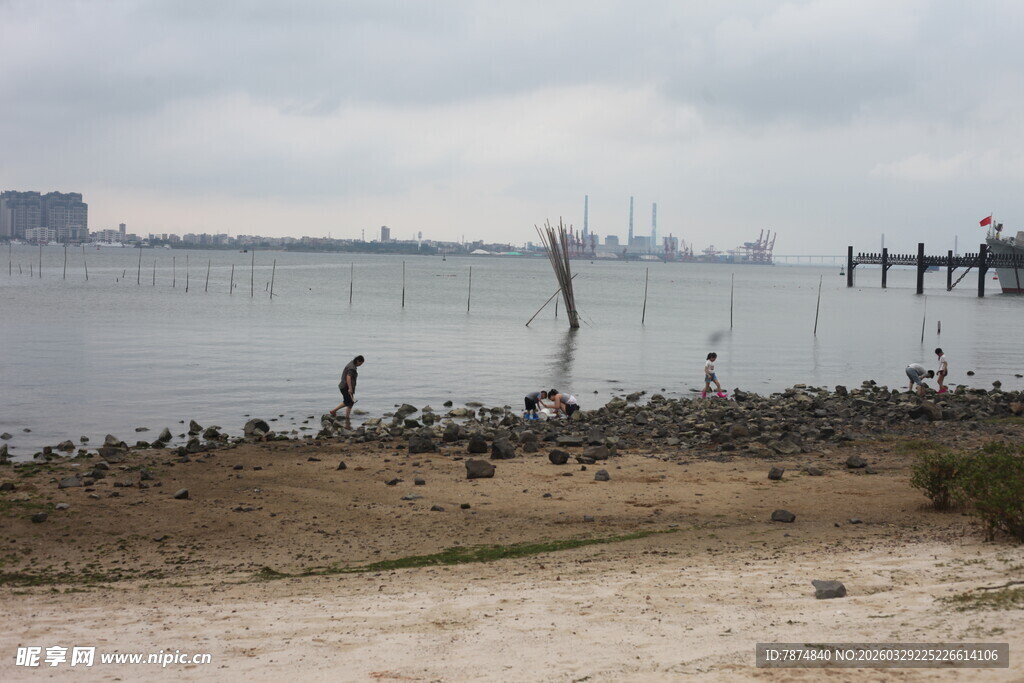 湛江岸边群鸟栖息于水域之畔
