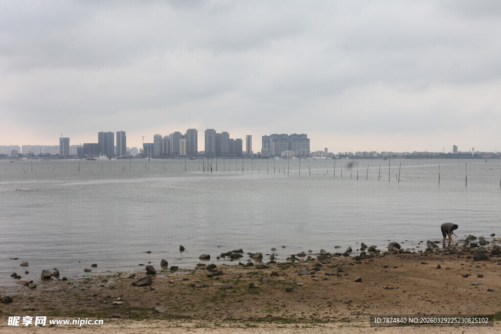 湛江湖畔城市景观 静谧自然美