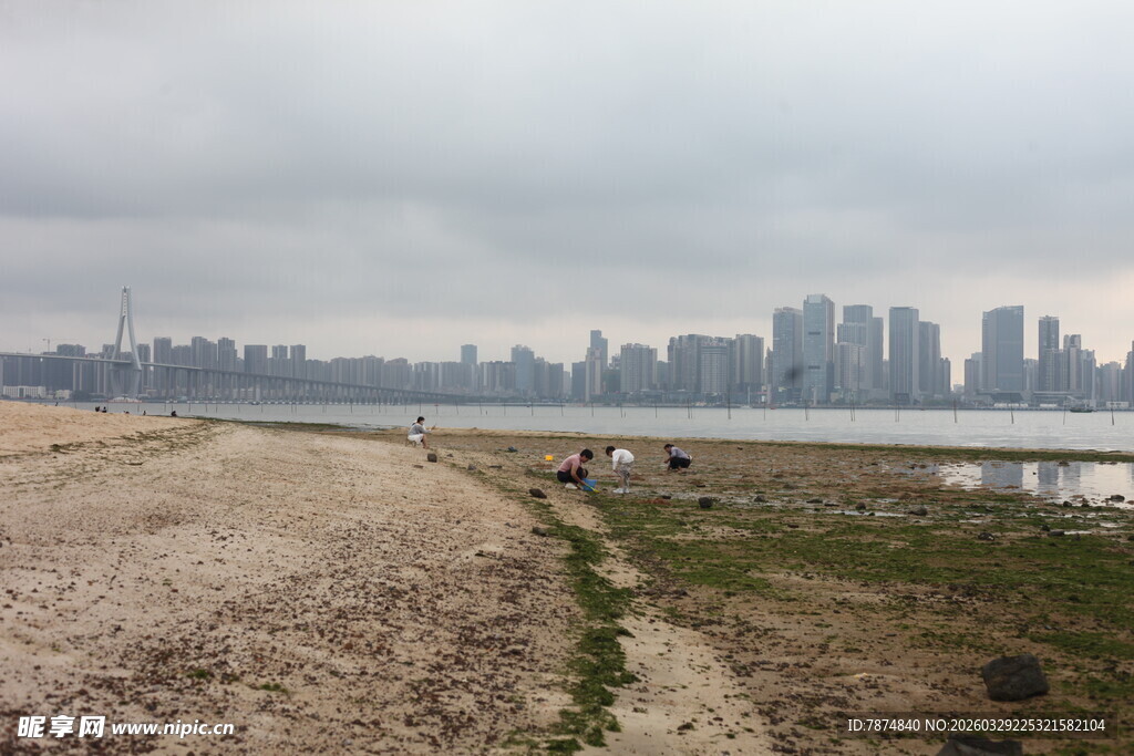 湛江城市边的河岸风景