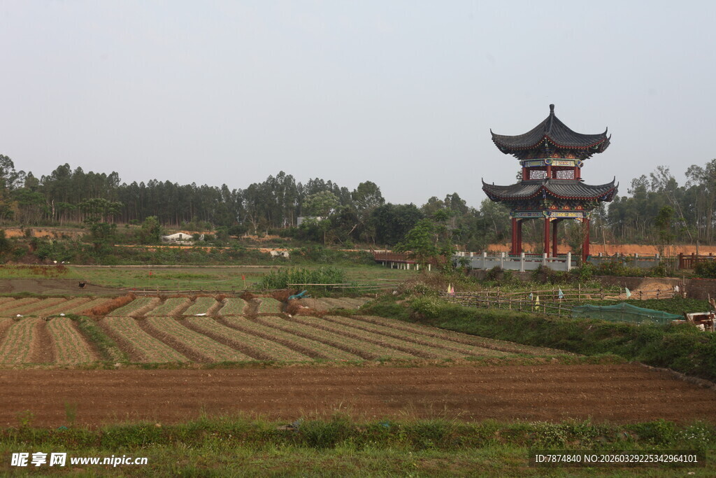 湛江田园古亭风光