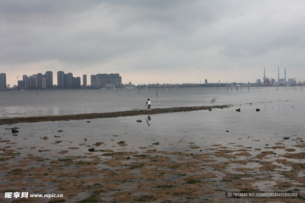 湛江海滨城市 滩涂与远处建筑