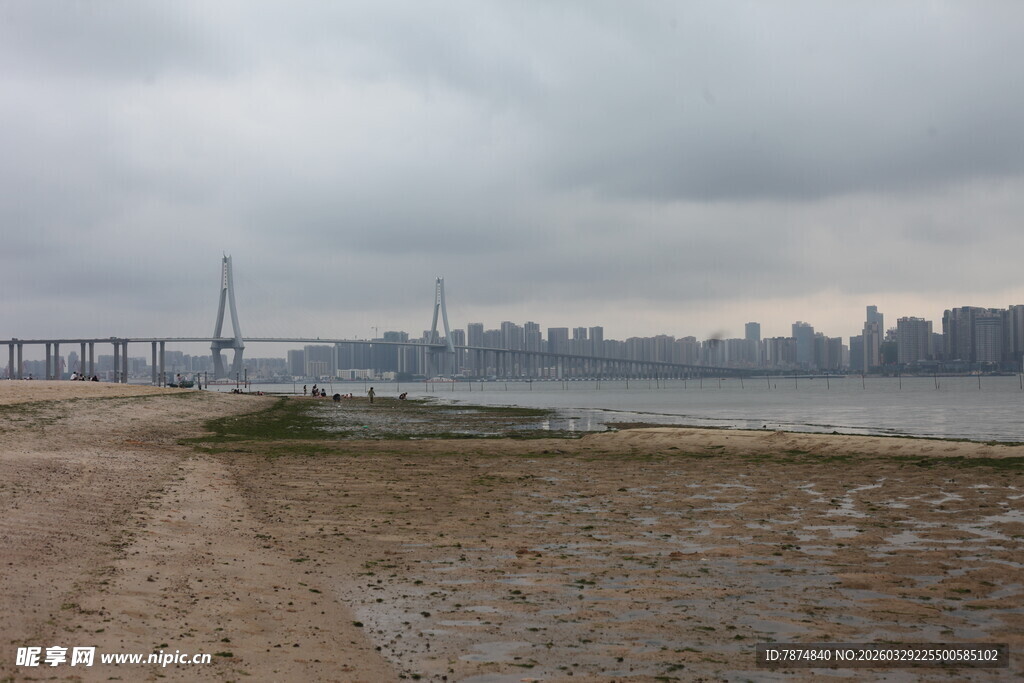 湛江江边观景 城市与桥梁景致