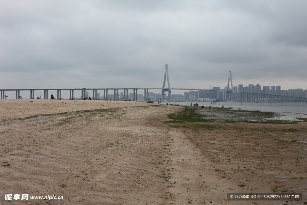 湛江海边桥梁远景景观