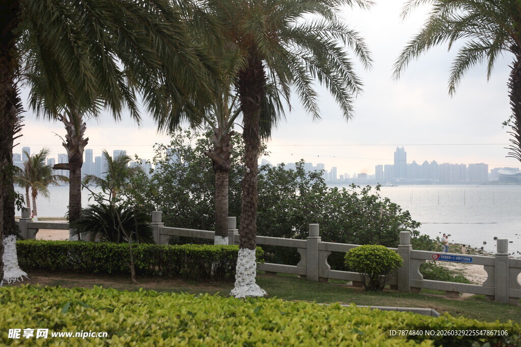 湛江海滨绿植景观