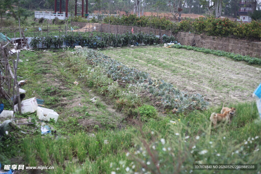 湛江田园劳作场景