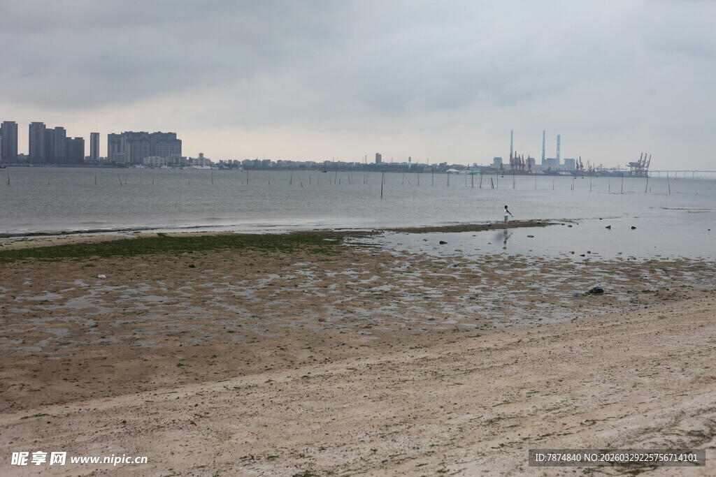 湛江海滨滩涂景象