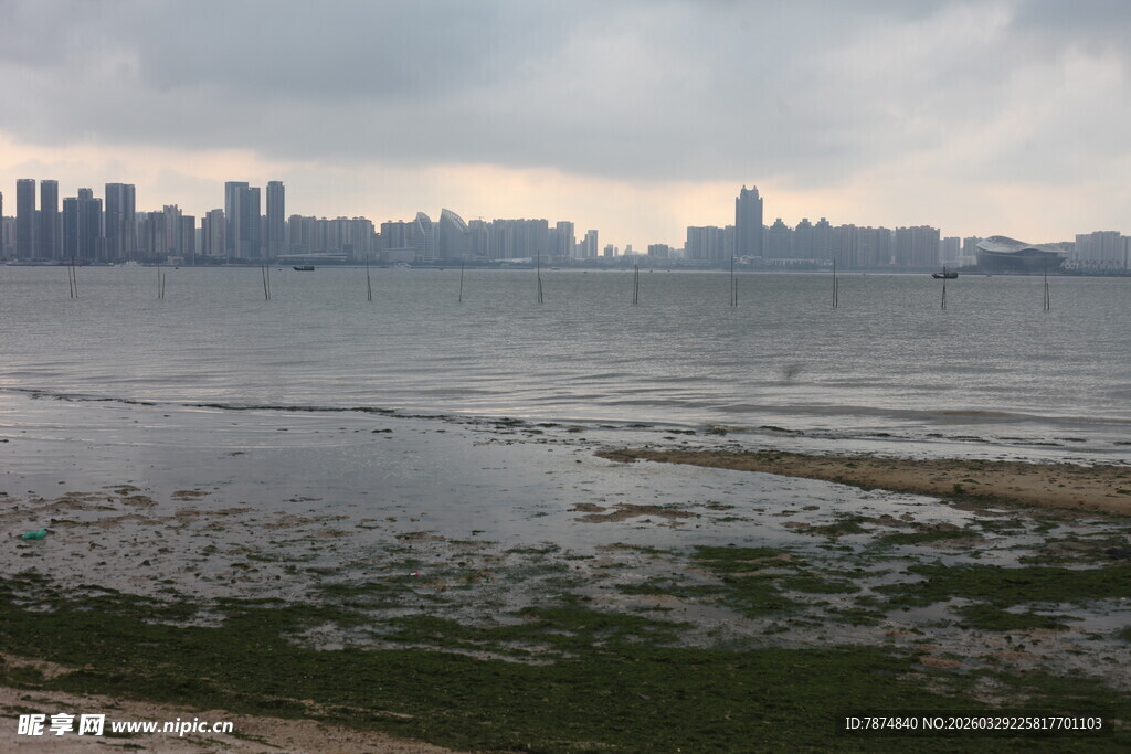 湛江海滨城市风光 水面与建筑
