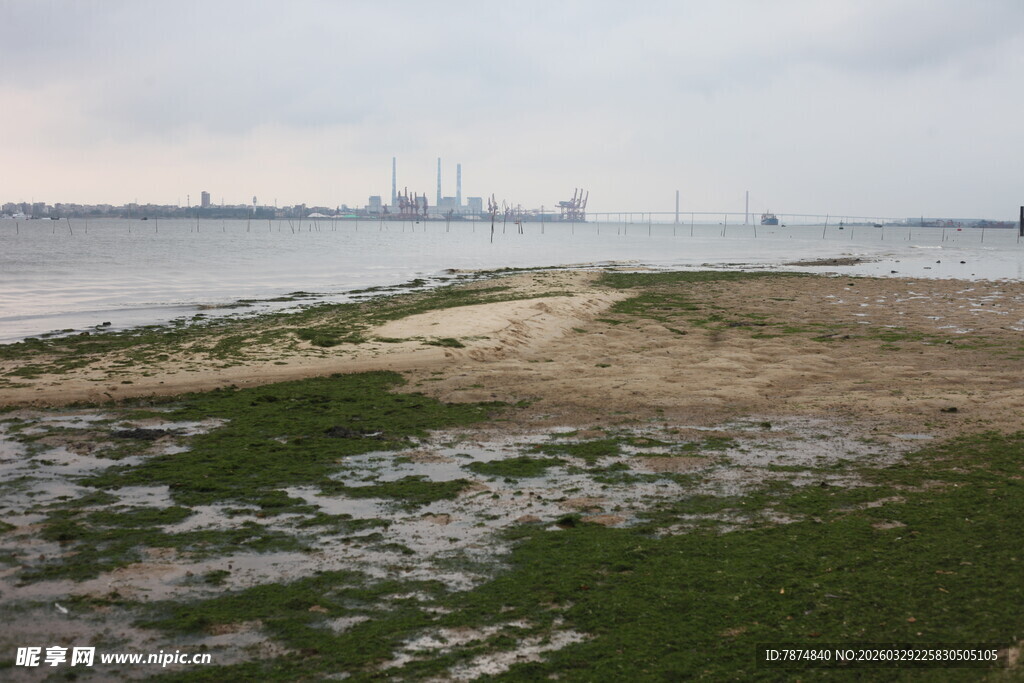 湛江海边滩涂景象