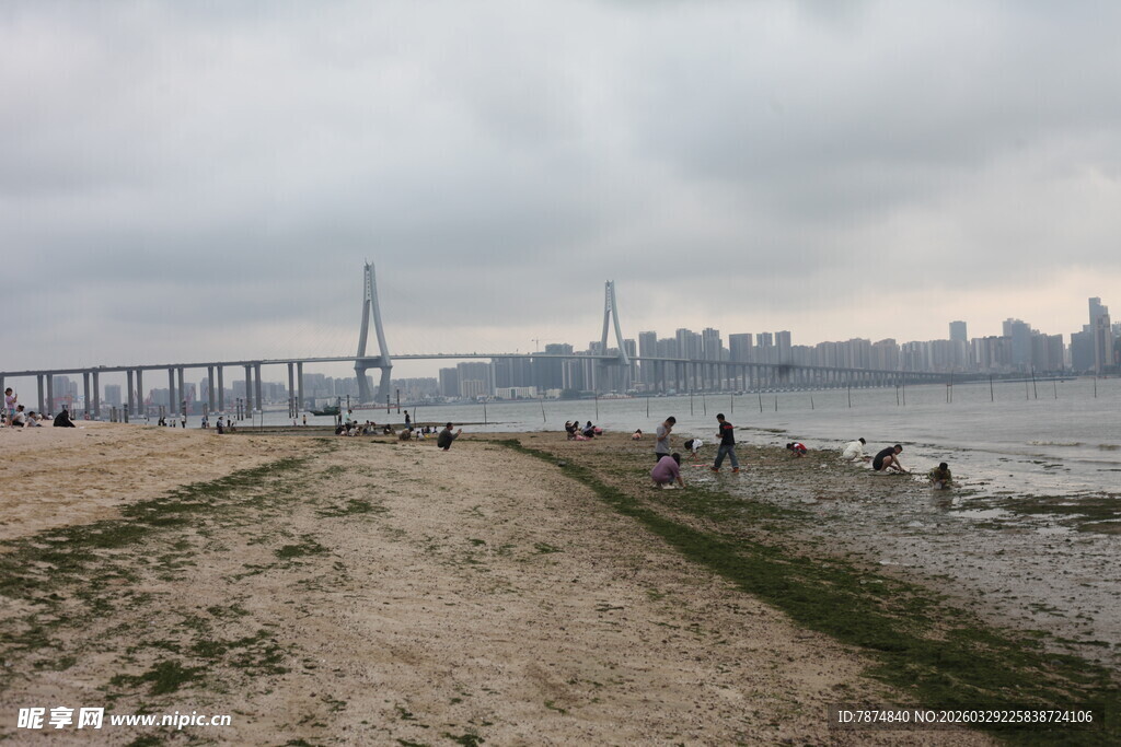 湛江海滨城市风光与桥上景致