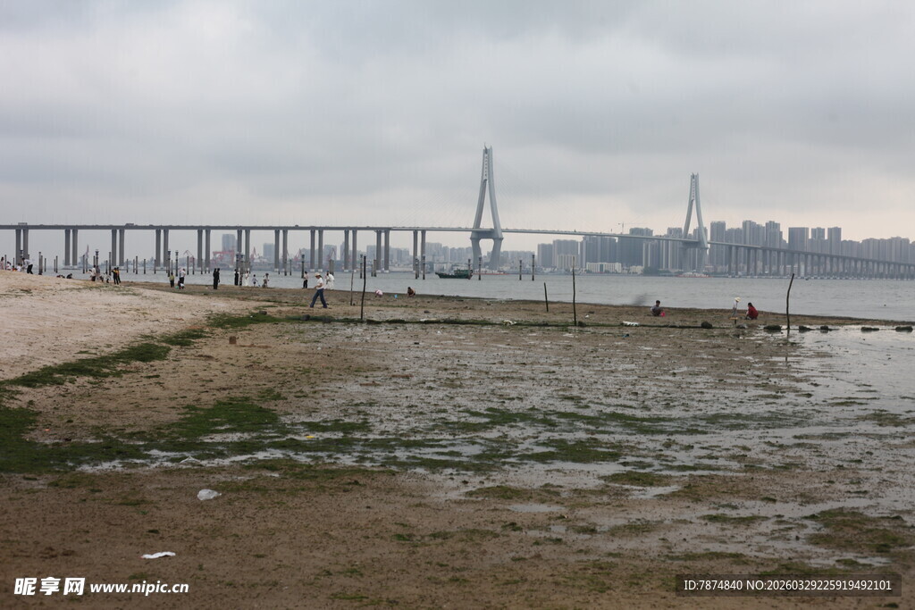 湛江江边大桥与滩涂景象